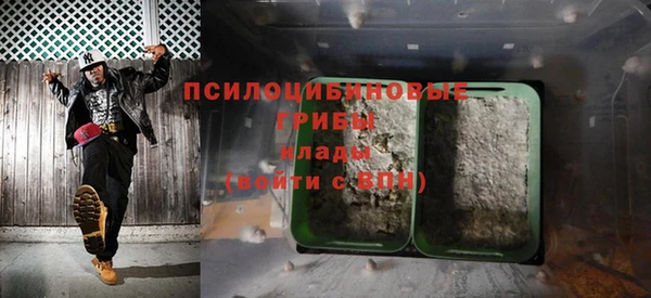 винт Алзамай