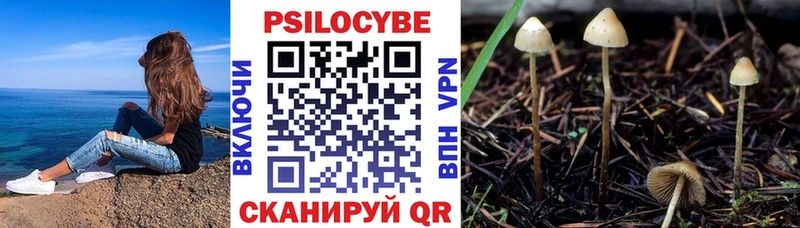 Галлюциногенные грибы MAGIC MUSHROOMS  Ардон 